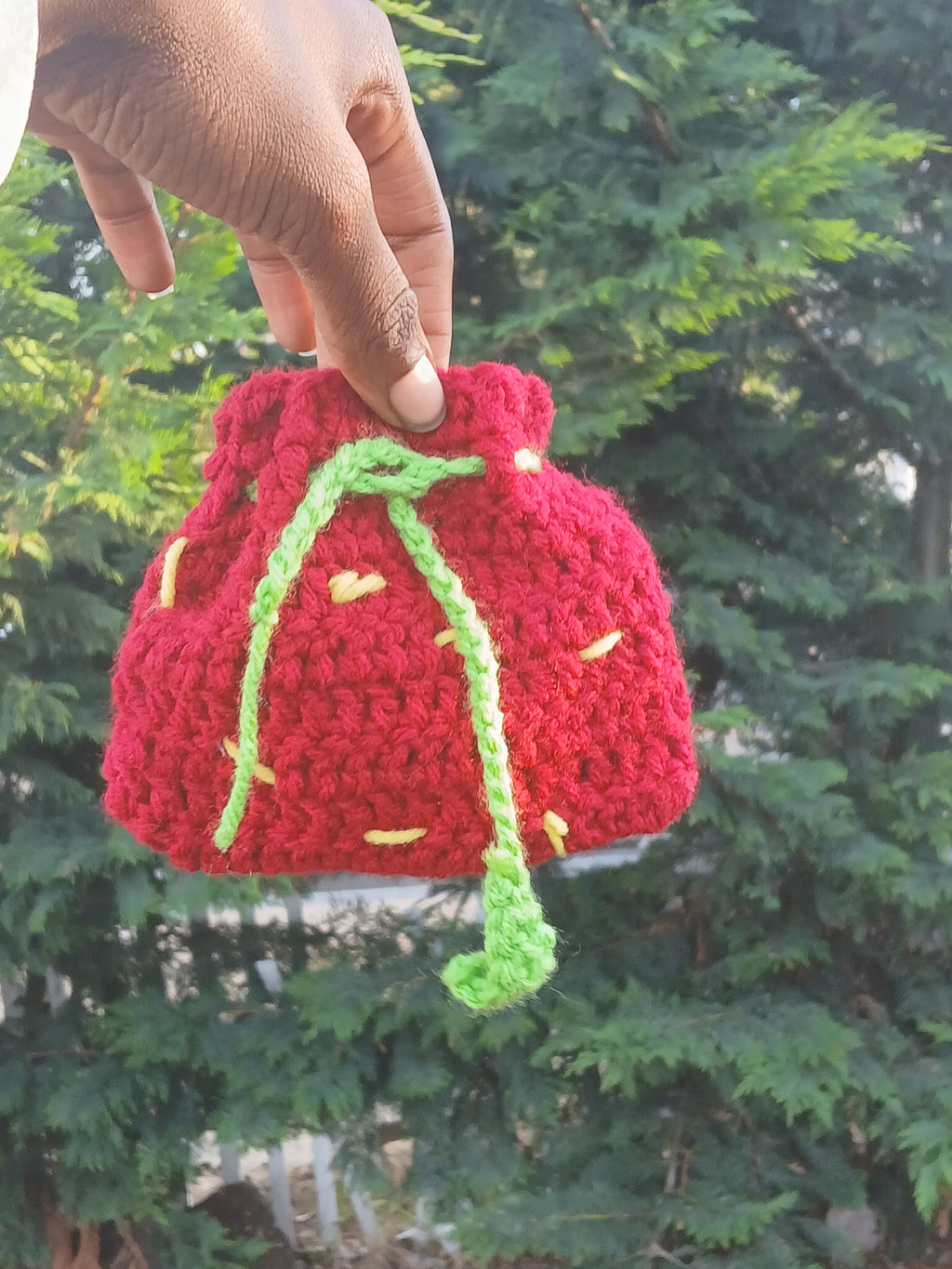 Strawberry Pouch