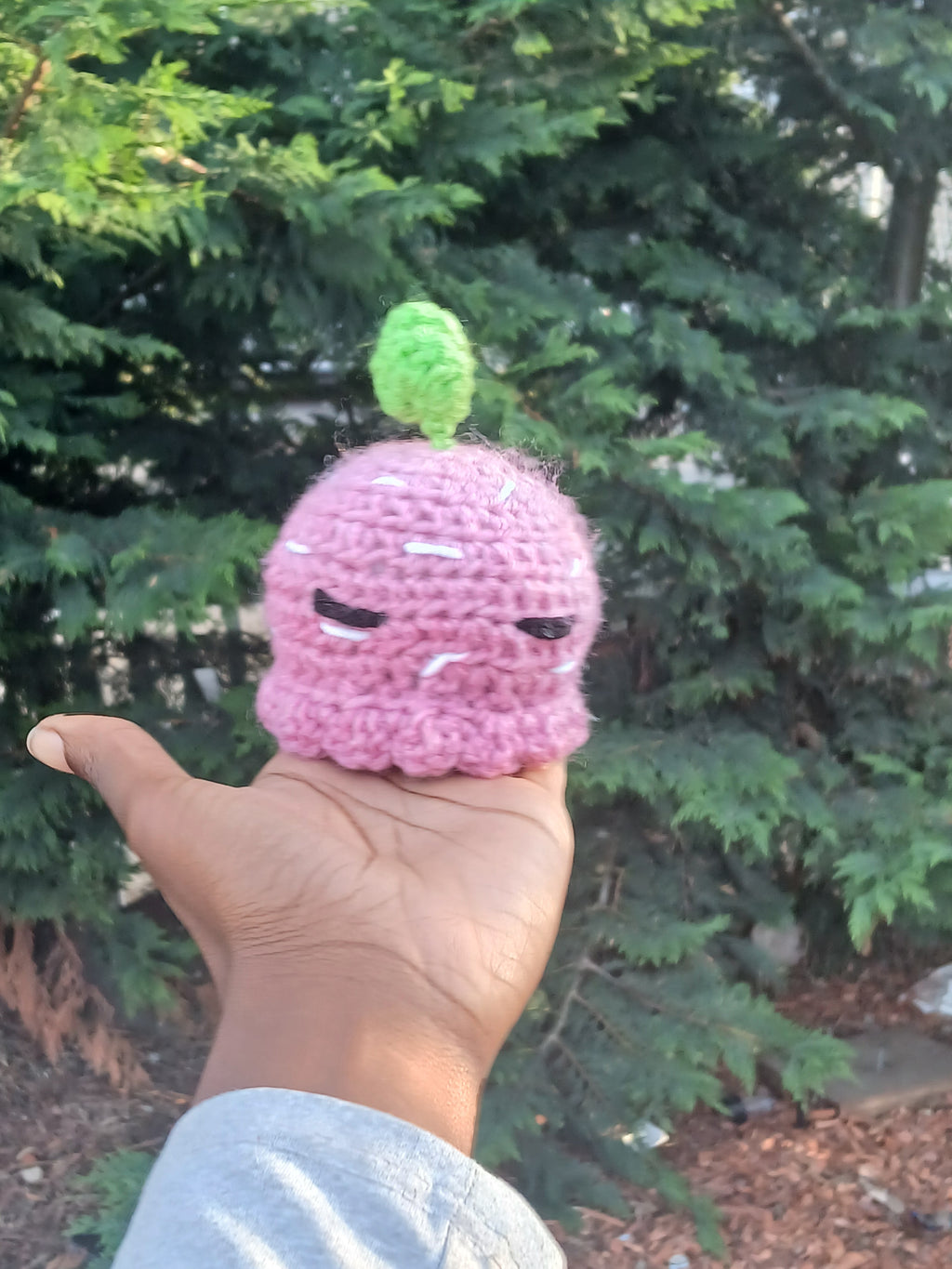 Strawberry Octo