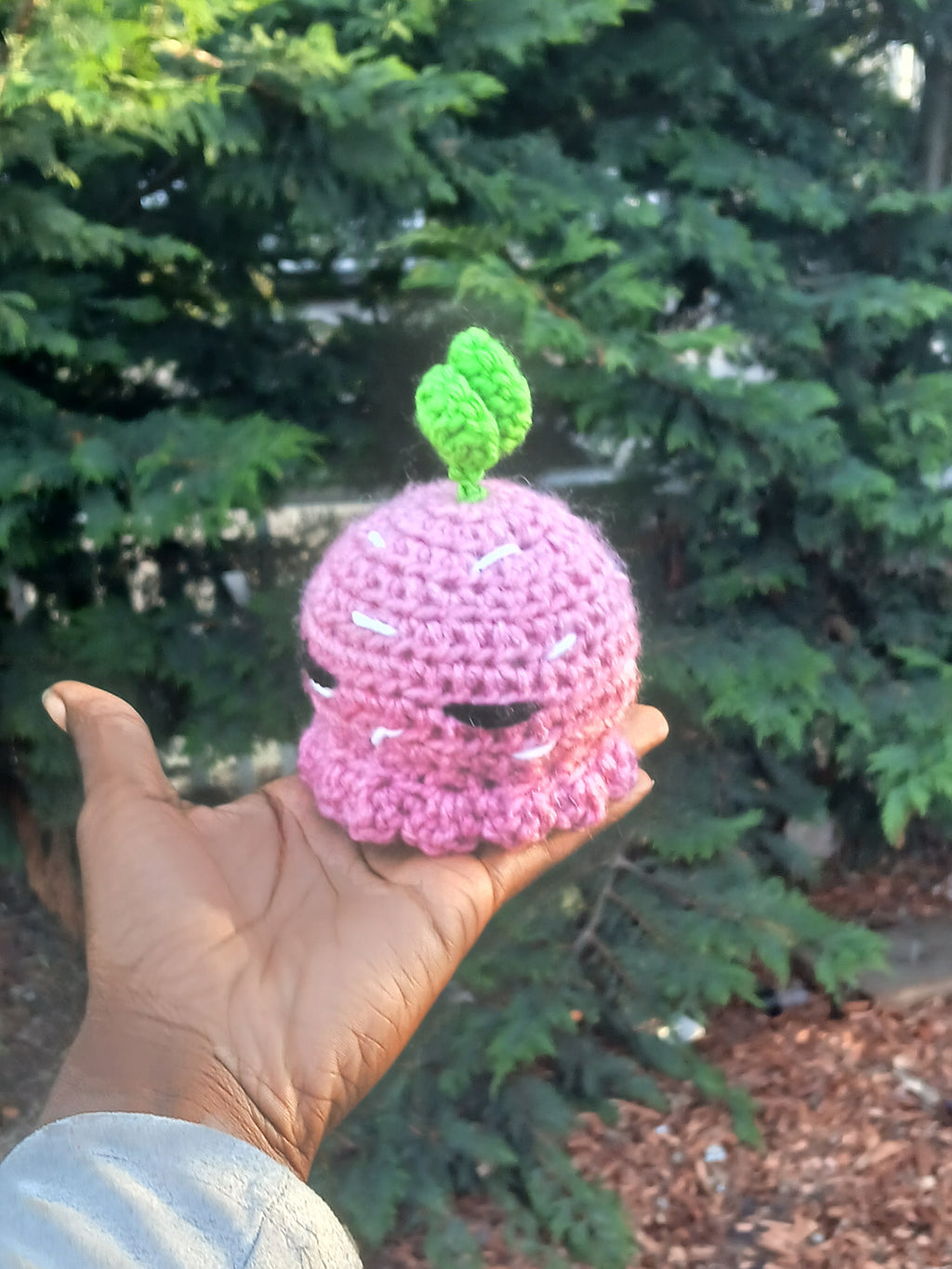 Strawberry Octo